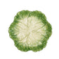 Green Cabbage Plate