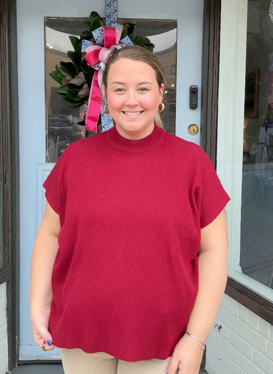 Plum Perfect Sweater Top