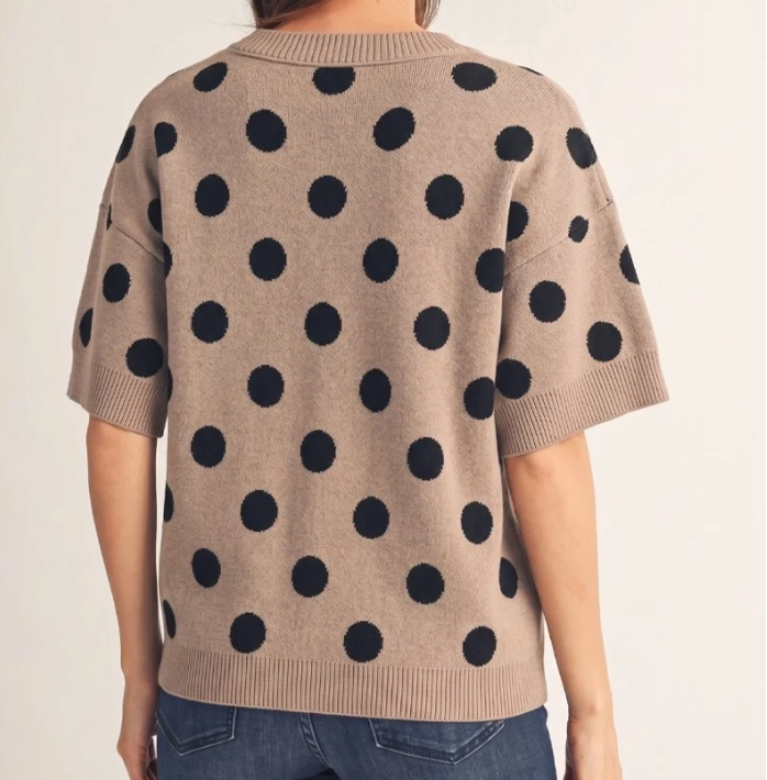 Polka Dot Short Sleeve Sweater Top