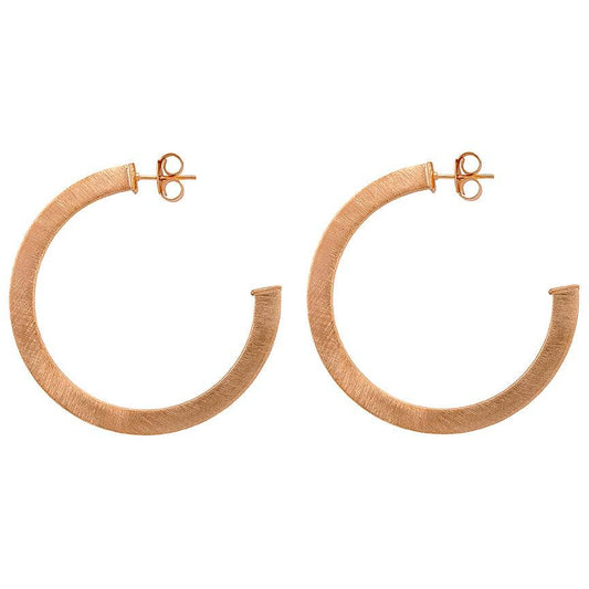 Elisa Hoop Earrings: Champagne 18K Gold Plated